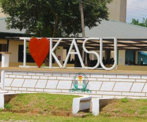 Kaduna Varsity Wins N1bn Grant For Commercial Agriculture – VC