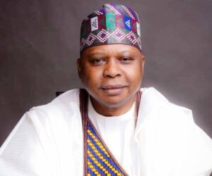 Turaki, Arapaja, emerge PDP chairman, secretary at party convention in Ibadan