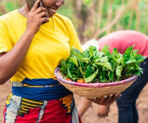 Kenya’s Farm to Feed Raises $1.5 Million to Tackle Food Waste, Boost Farmer Incomes