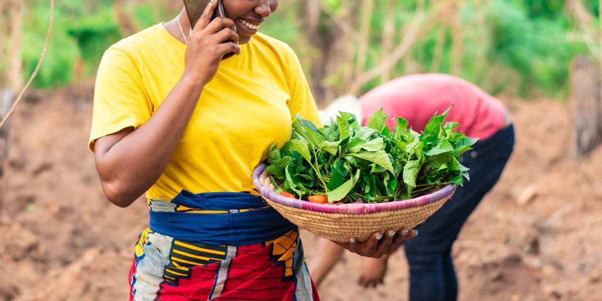 Kenya’s Farm to Feed Raises $1.5 Million to Tackle Food Waste, Boost Farmer Incomes