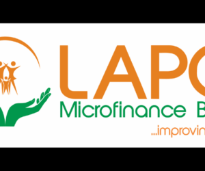LAPO drives climate financing conversation, as Africa loses $440bn annually to challenges