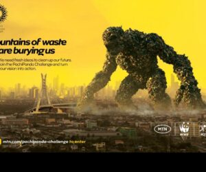 MTN, Partners Shortlist 100 Innovators for Next Phase of PachiPanda Challenge  | Tech | Business