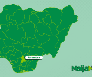 Anambra Voter Laments ₦1,000 Stipend For Votes