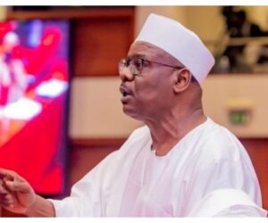 Alleged genocide: Trump ignorant of Nigeria’s realities — Ndume