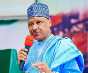 FG Blasts Foreign Lobbyists Over ‘Christian Genocide’ Claims