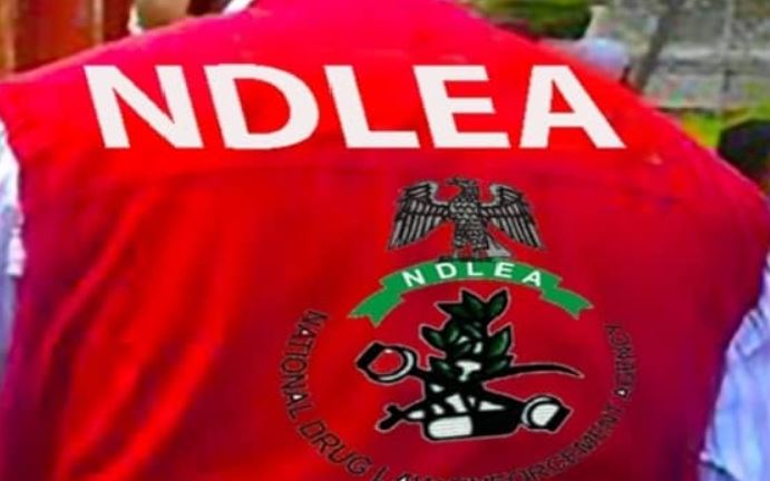 NDLEA Busts Colos Lab In Lagos, Intercepts Loud Consignments In Bathtubs