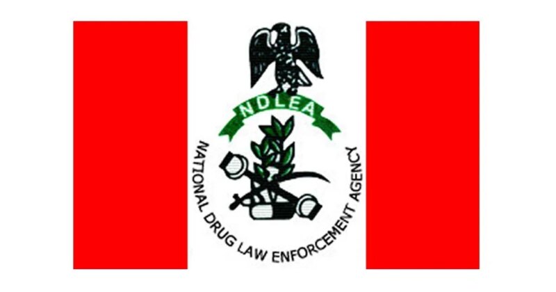NDLEA destroys over 25 tonnes of illicit drugs in Kebbi