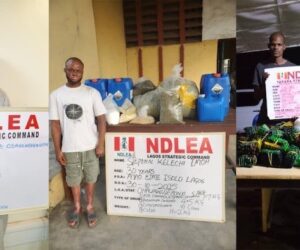 NDLEA Arrests Saudi-Bound Drug Lord, Dismantles Lekki Laboratory, Recovers 148kg Synthetic Cannabis  – Arise News