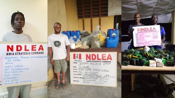 NDLEA Arrests Saudi-Bound Drug Lord, Dismantles Lekki Laboratory, Recovers 148kg Synthetic Cannabis  – Arise News