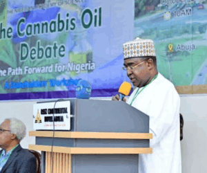 NDLEA Raises Alarm Over Dangerous ‘Medicinal Cannabis’, Calls It Highly Addictive and Illegal – Arise News