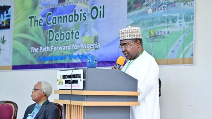 NDLEA Raises Alarm Over Dangerous ‘Medicinal Cannabis’, Calls It Highly Addictive and Illegal – Arise News