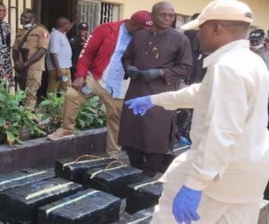 NDLEA, US and UK Anti-Drug Agencies Collaborate to Unravel Cartel Behind Importation of Over 1,000kg Cocaine Recovered at Lagos Port – Arise News