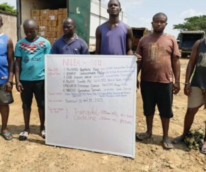 Lagos Warehouse Bust: NDLEA Crushes Opioid Cartel, Seizes Drugs Worth ₦6.7 Billion