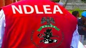 Violence erupts as NAFDAC officials confront armed resistance in Lagos raid