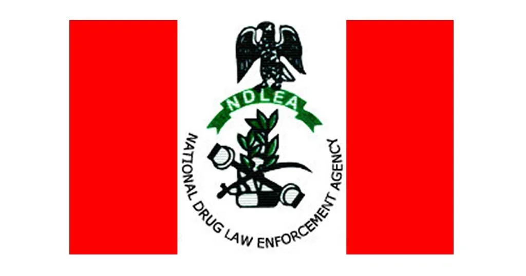 NDLEA destroys over 25 tonnes of illicit drugs in Kebbi