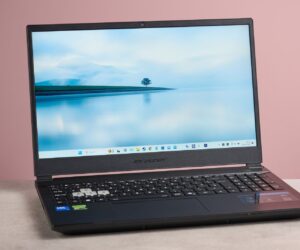 Medion Erazer Deputy 15 P1 review: an excellent 1080p performer with a good price, but it’s not without a few drawbacks