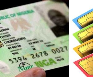 10 million new NINs have been issued in 2025 as total enrollment hits 124 million