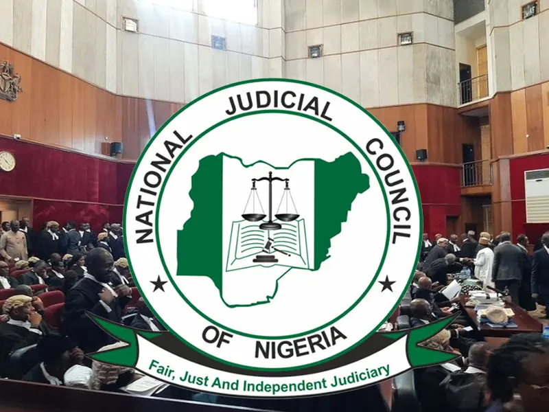 Ibadan national convention: 3 PDP chieftains drag Justice Akintola before NJC