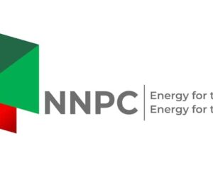 Reps Receive Petition to Review South East Slot in NNPCL Management