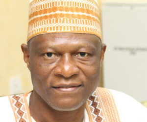 Convene national dialogue on insecurity – Former UniAbuja VC, Nallah to Nigerian govt