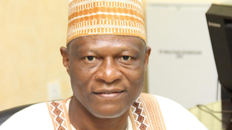 Convene national dialogue on insecurity – Former UniAbuja VC, Nallah to Nigerian govt