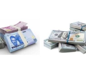 Naira Strengthens To N1,421/$ As Investor Confidence Rises, Stock Market Value Hits N97.8trn – Arise News