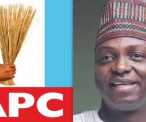 ALP exposes those behind threats against APC National Chairman