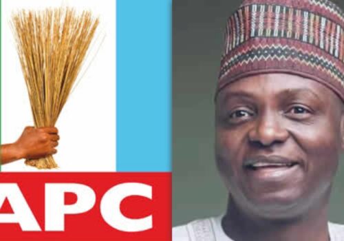 ALP exposes those behind threats against APC National Chairman