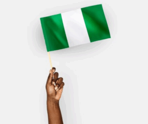 Stop ‘naming and shaming’ us, Nigeria tells int’l community