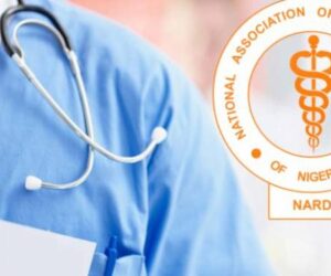 Resident Doctors’ Strike: Group Blames Government For Nigeria’s Health Crisis