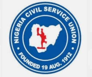 Civil service reforms vital for improved national productivity, welfare, NCSU tells FG