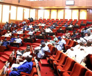 Senate probe railway projects under Buhari