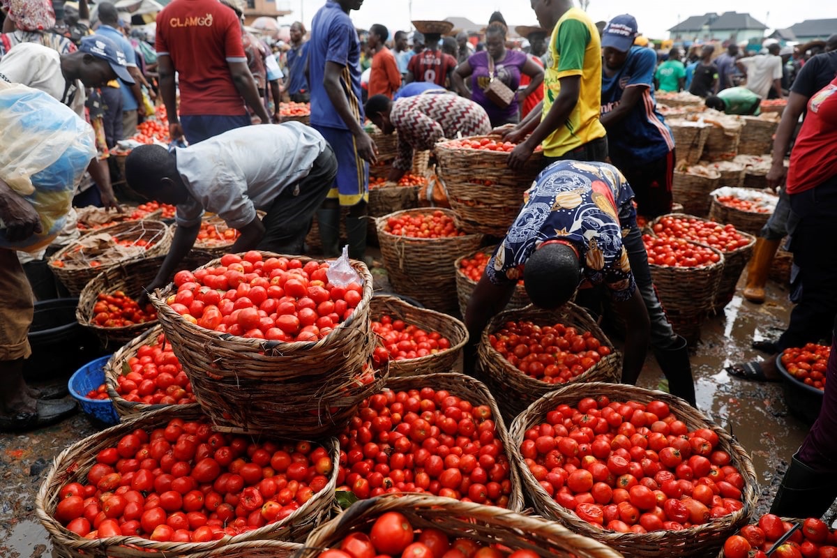 Nigeria’s Inflation Declines Again, Drops to 16.05% in October 2025 — NBS
