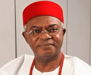 Vote Your Conscience, Obi Of Onitsha Tells Anambra Electorate