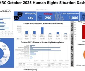 NHRC urges partnership, not sanctions, over religious killings in Nigeria