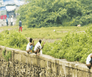 Nigeria risks missing 2030 SDG target as only two states end open defecation