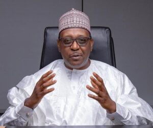 Pate Declares ‘Nigeria Is Building a Health System That Delivers for Everyone’