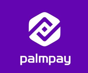 PalmPay Backs Nigeria Police In National Cybercrime Awareness Campaign