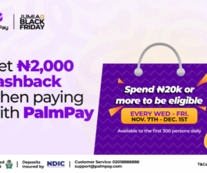 PalmPay and Jumia Shop Smart & Earn Big Campaign to Reward More Winners | Tech | Business