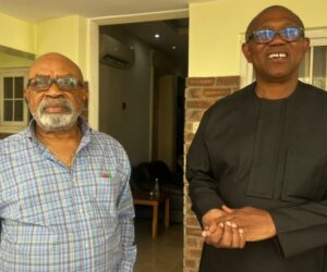 Ngige’s Attack: ‘Nobody Should Lose Their Life In Such Senseless Circumstances’ – Peter Obi