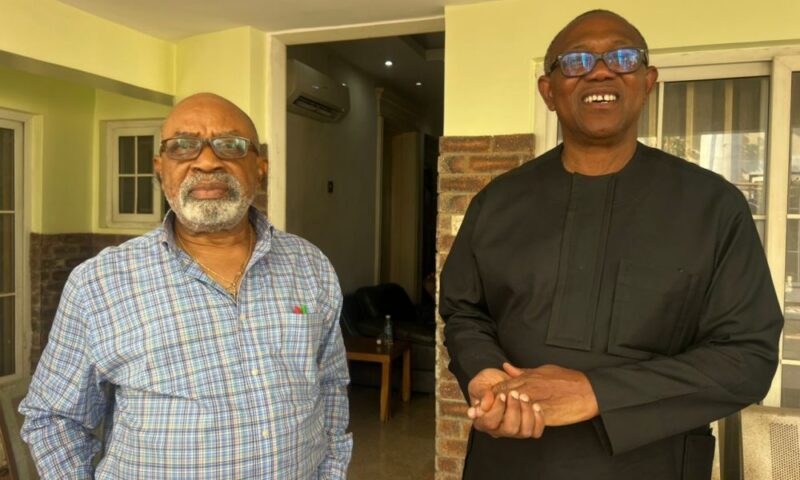 Ngige’s Attack: ‘Nobody Should Lose Their Life In Such Senseless Circumstances’ – Peter Obi