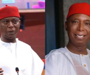 Calls for Ned Nwoko to step down as senator commences amid marital dispute with Regina Daniels