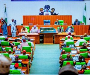 Reps move to cut eligibility age for governors, senators to 30