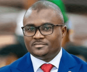 FRC’s Olowo ends tenure as UNCTAD-ISAR chair, inspires legacy