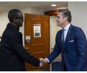 Tinubu appoints members for US-Nigeria Working Group