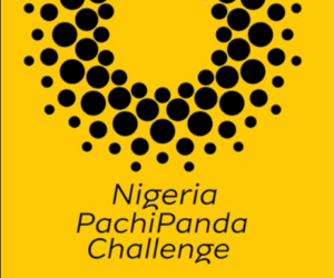 MTN Nigeria Unveils PachiPanda Challenge For Young Environmental Innovators