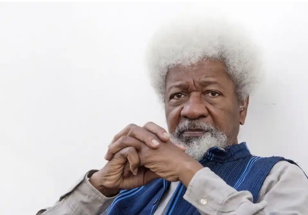 “Trump Is A Petty-Minded Dictator” – Wole Soyinka