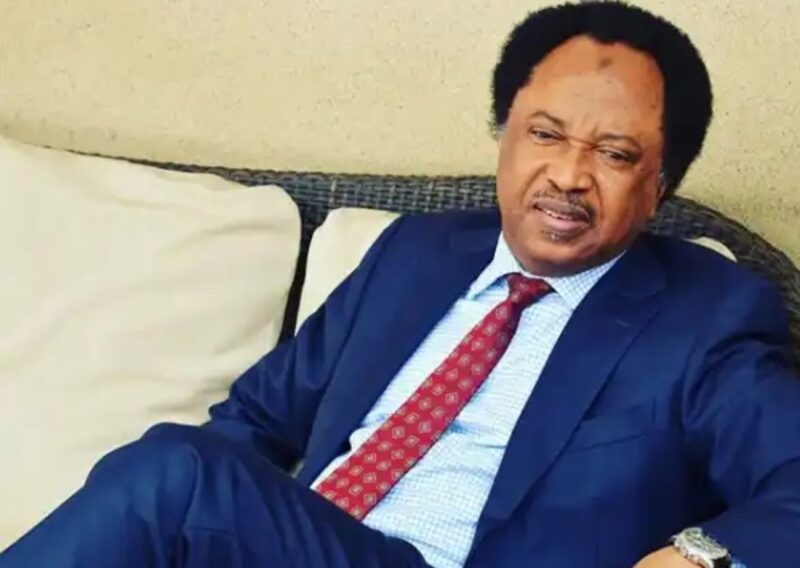 Wike Doing A Good Job But His Stunt Against Soldier In Abuja Shouldn’t Be Encouraged: Shehu Sani