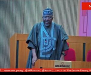 We know every bandit, yet we’re hiding them- Senator Garba