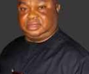 Mbata Has Ordered Me To Elections Into Lagos Ohanaeze –Ogbonna